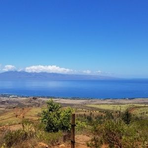 Meet your Posher, Robb stacey